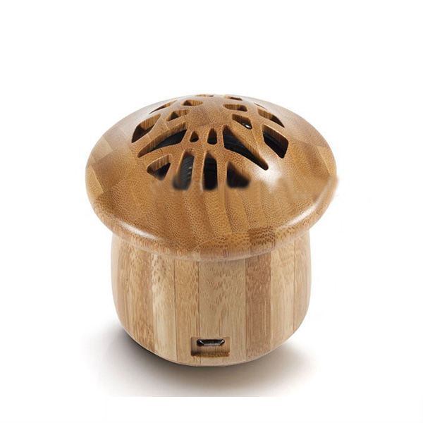 Bamboo Wireless Portable Audio Player